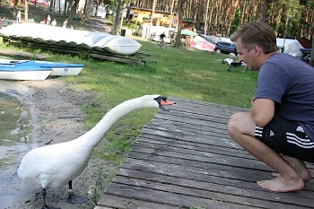 KORMORAN ośrodek wypoczynkowy 05a