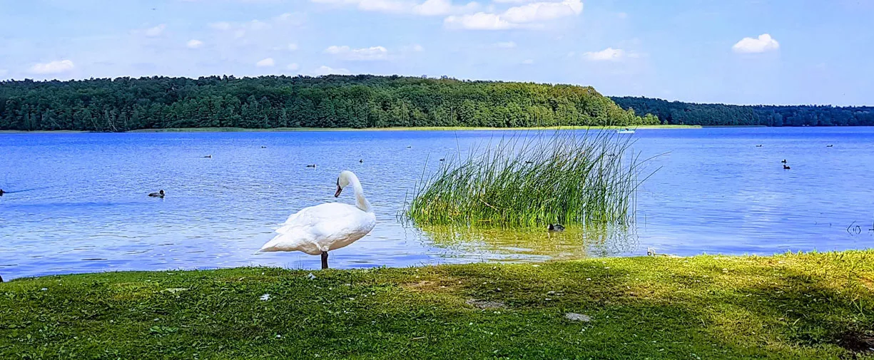 KORMORAN atpūtas centrs 02